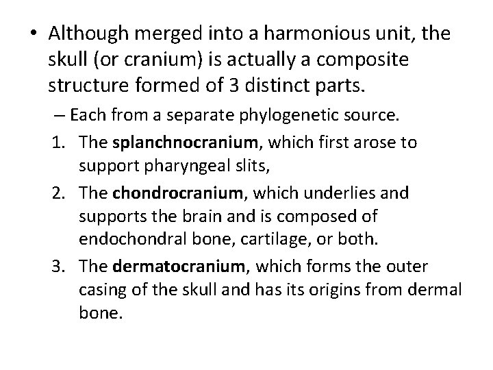  • Although merged into a harmonious unit, the skull (or cranium) is actually