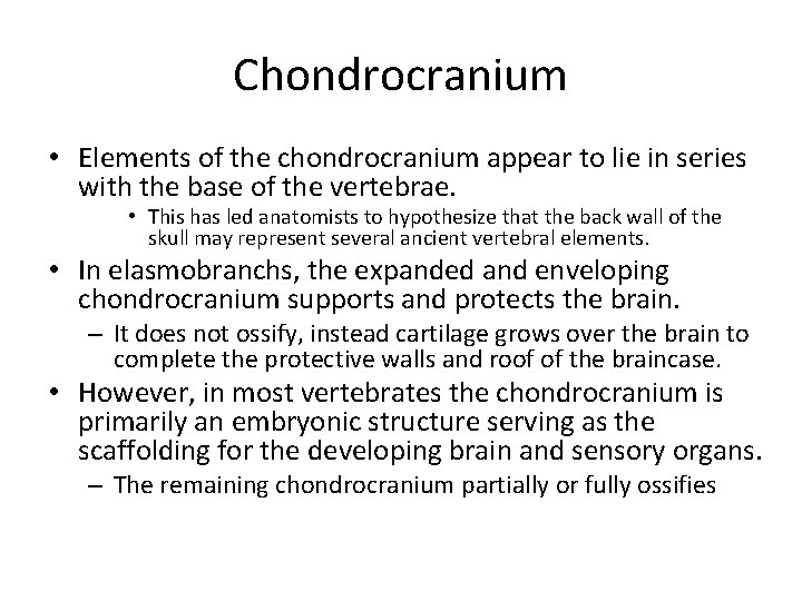 Chondrocranium • Elements of the chondrocranium appear to lie in series with the base