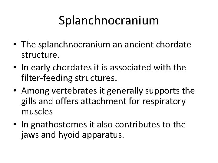 Splanchnocranium • The splanchnocranium an ancient chordate structure. • In early chordates it is