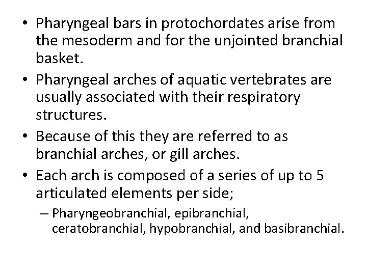  • Pharyngeal bars in protochordates arise from the mesoderm and for the unjointed