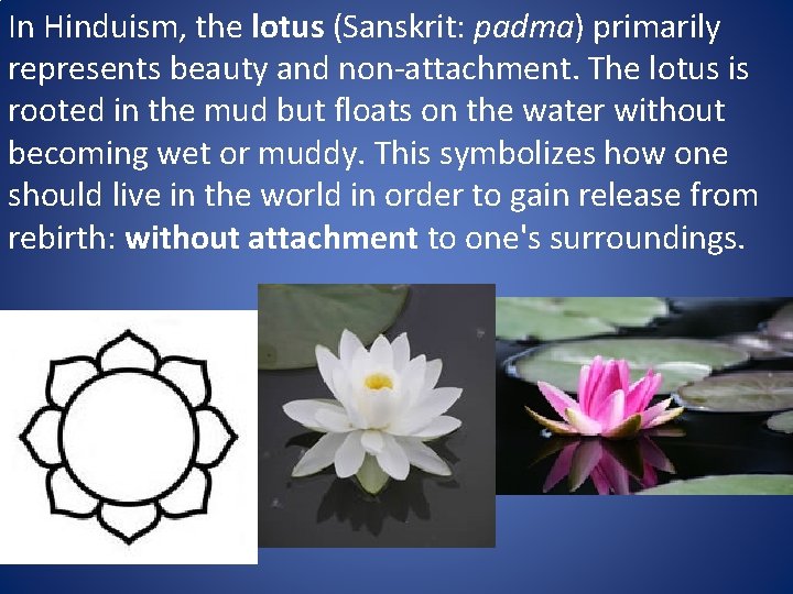 In Hinduism, the lotus (Sanskrit: padma) primarily represents beauty and non-attachment. The lotus is