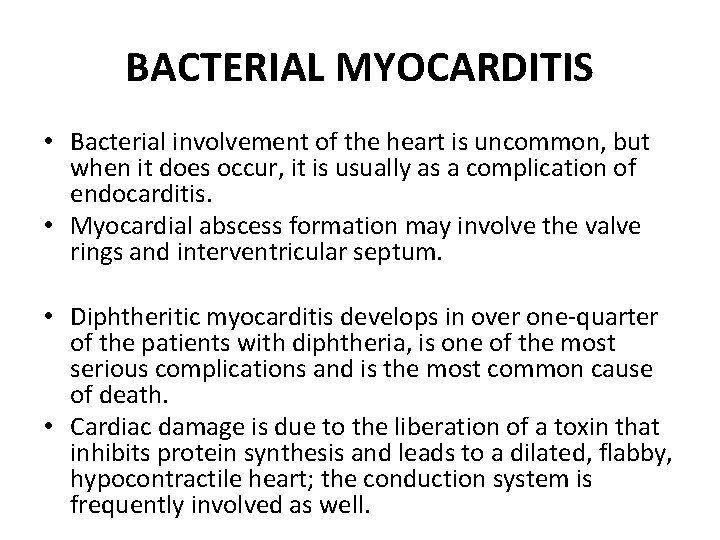 BACTERIAL MYOCARDITIS • Bacterial involvement of the heart is uncommon, but when it does