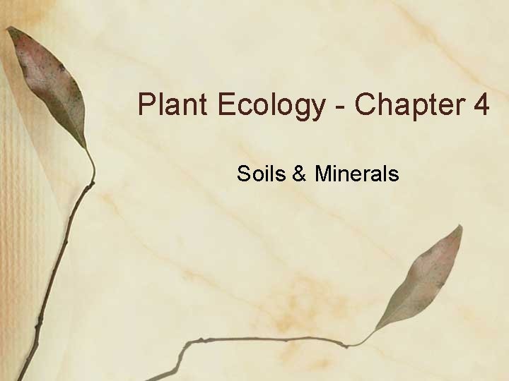 Plant Ecology - Chapter 4 Soils & Minerals 