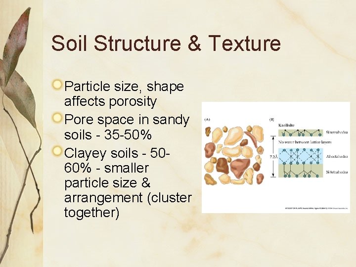 Soil Structure & Texture Particle size, shape affects porosity Pore space in sandy soils