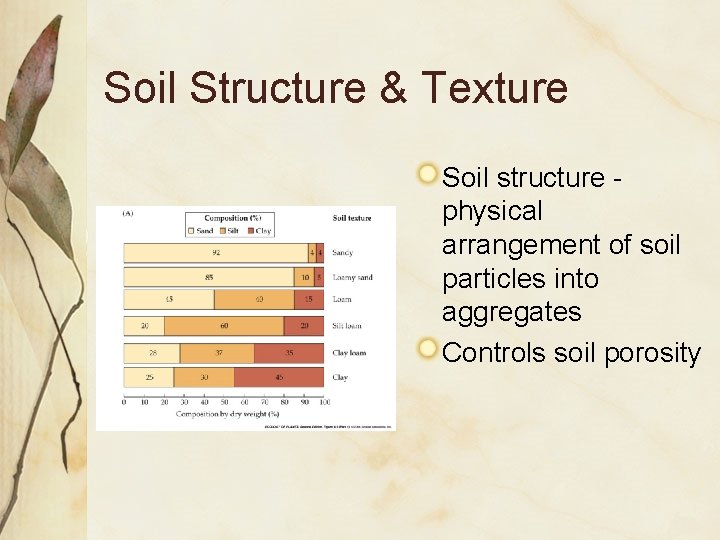 Soil Structure & Texture Soil structure physical arrangement of soil particles into aggregates Controls