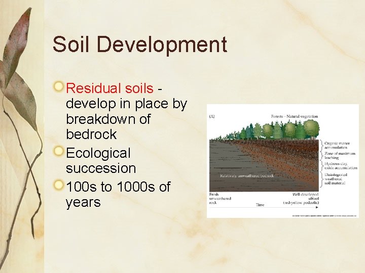 Soil Development Residual soils develop in place by breakdown of bedrock Ecological succession 100
