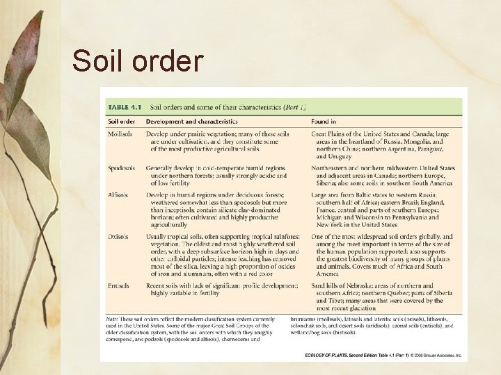 Soil order 