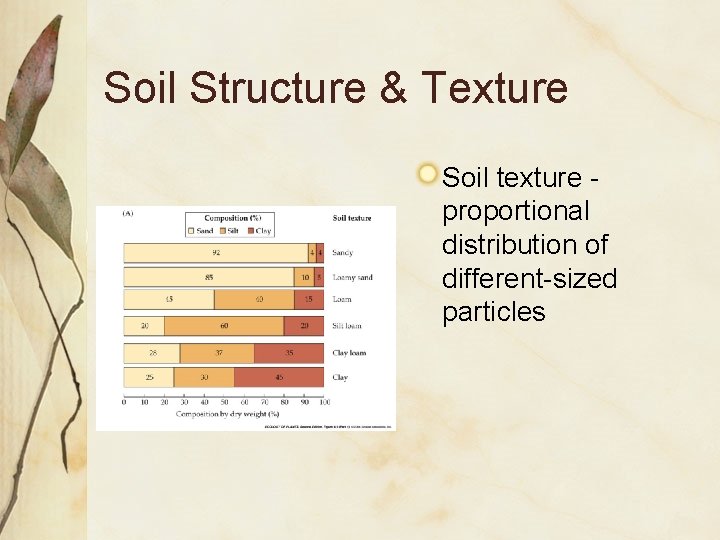 Soil Structure & Texture Soil texture proportional distribution of different-sized particles 