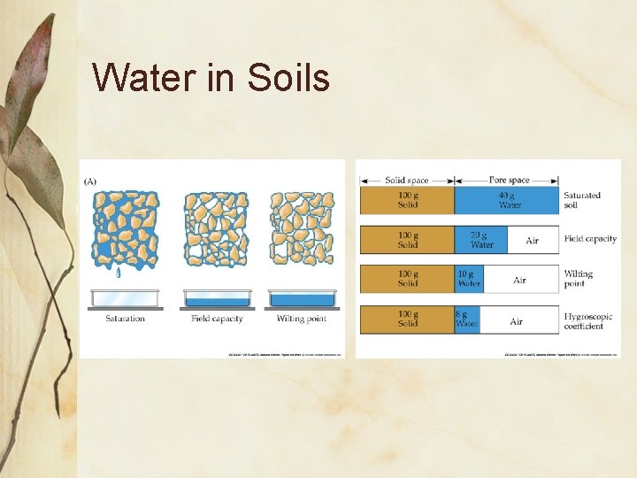 Water in Soils 