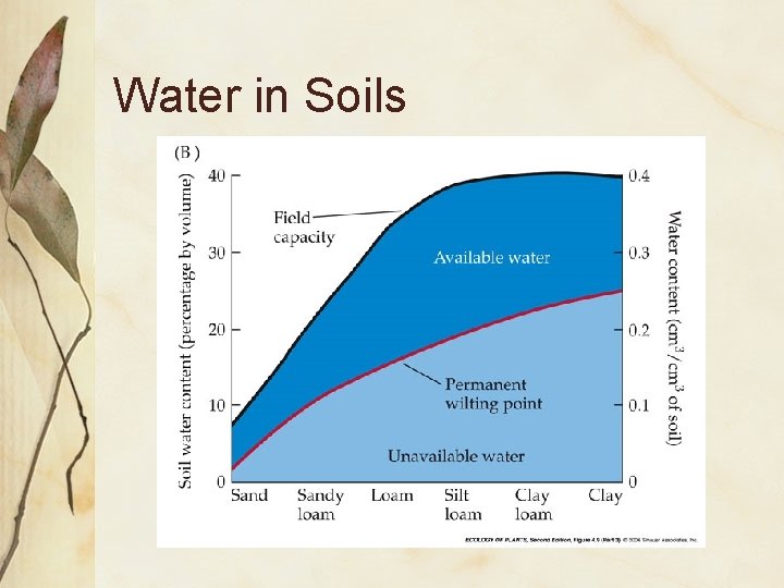 Water in Soils 