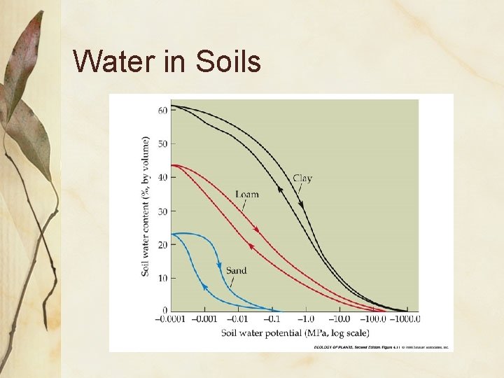 Water in Soils 