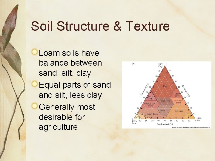 Soil Structure & Texture Loam soils have balance between sand, silt, clay Equal parts