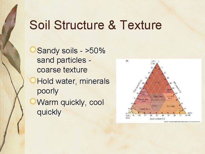 Soil Structure & Texture Sandy soils - >50% sand particles coarse texture Hold water,