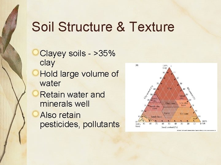 Soil Structure & Texture Clayey soils - >35% clay Hold large volume of water