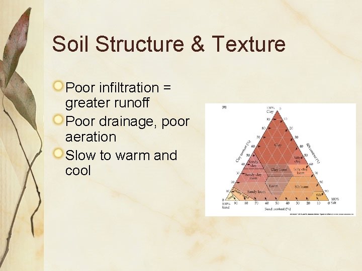 Soil Structure & Texture Poor infiltration = greater runoff Poor drainage, poor aeration Slow