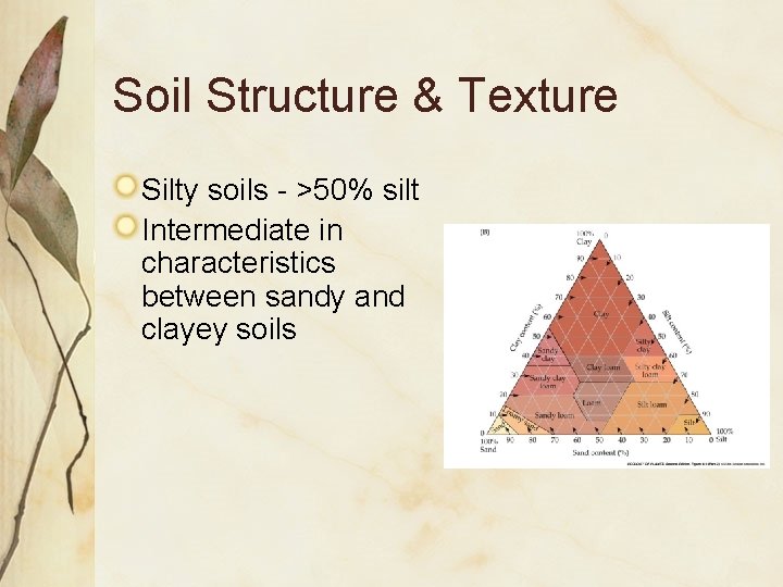 Soil Structure & Texture Silty soils - >50% silt Intermediate in characteristics between sandy