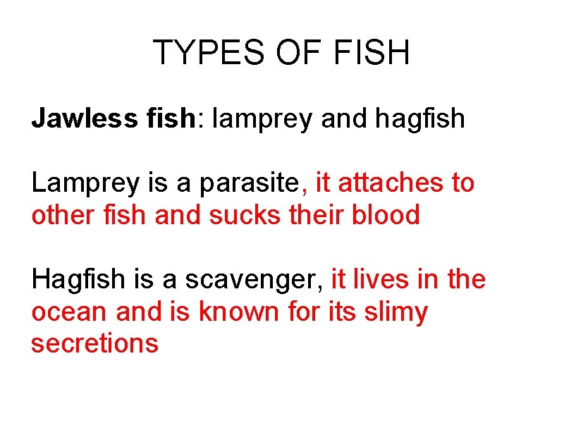 TYPES OF FISH Jawless fish: lamprey and hagfish Lamprey is a parasite, it attaches