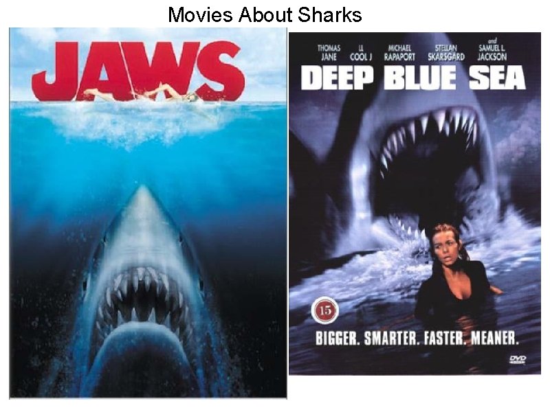 Movies About Sharks 