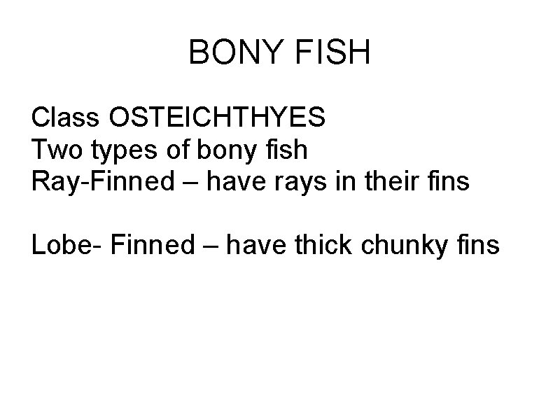 BONY FISH Class OSTEICHTHYES Two types of bony fish Ray-Finned – have rays in