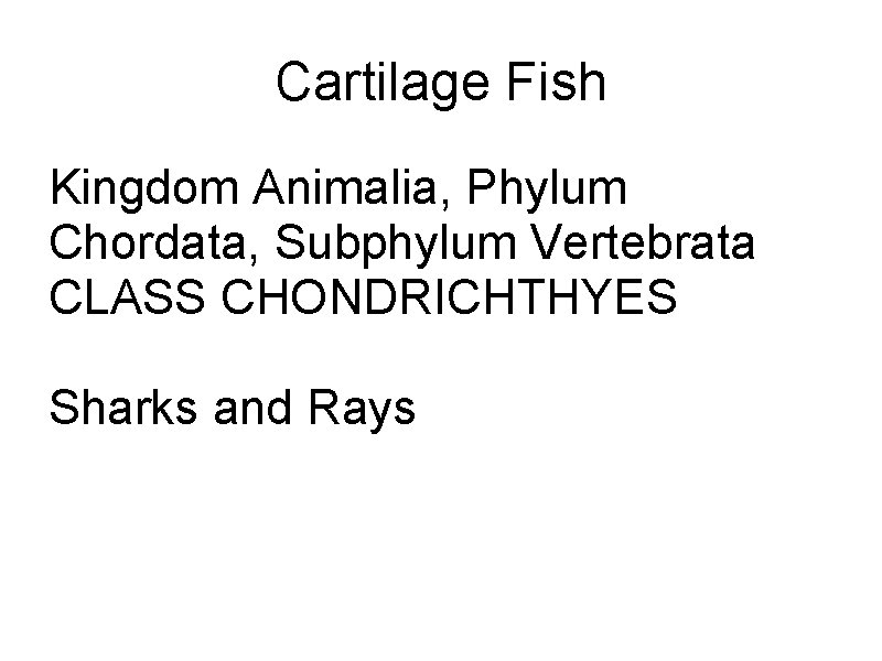 Cartilage Fish Kingdom Animalia, Phylum Chordata, Subphylum Vertebrata CLASS CHONDRICHTHYES Sharks and Rays 