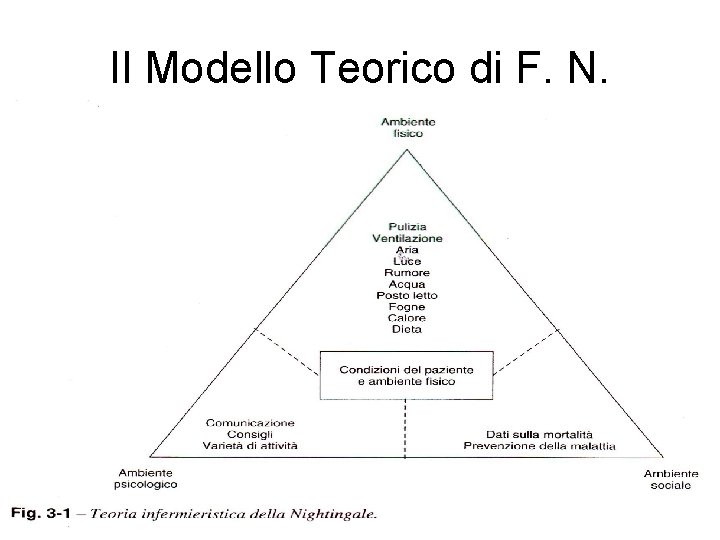 Il Modello Teorico di F. N. 