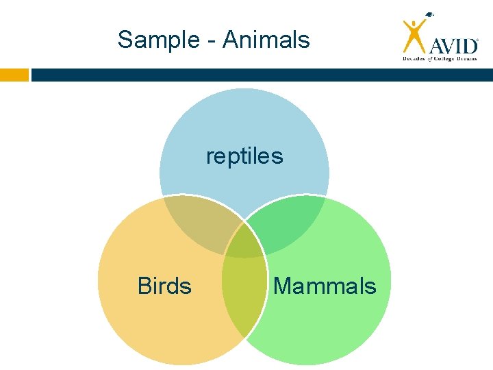 Sample - Animals reptiles Birds Mammals 