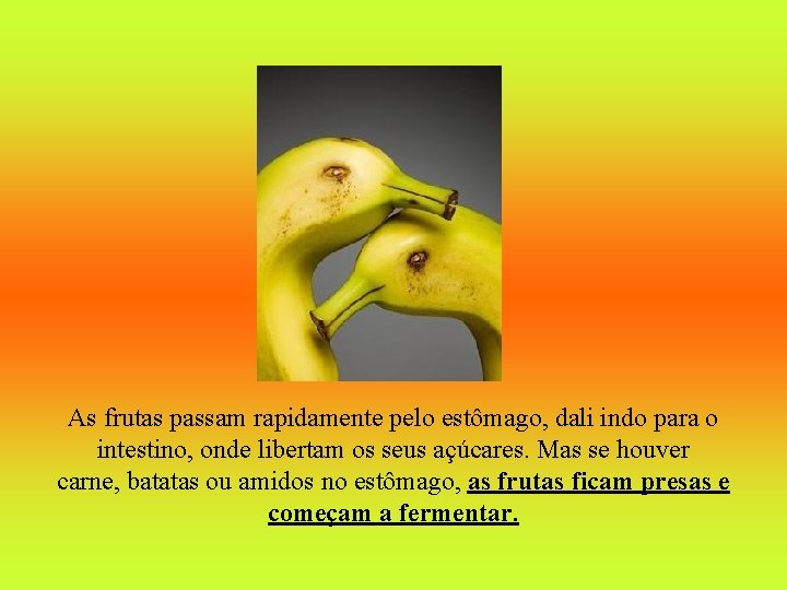 As frutas passam rapidamente pelo estômago, dali indo para o intestino, onde libertam os