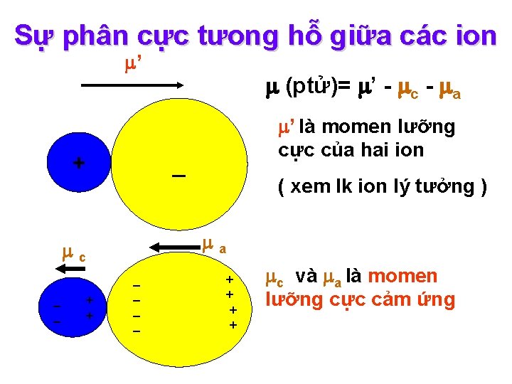 Sự phân cực tưong hỗ giữa các ion ’ + c (ptử)= ’ -