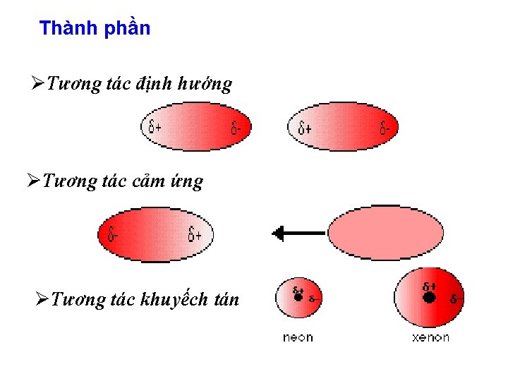 Thành phần ØTương tác định hướng ØTương tác cảm ứng ØTương tác khuyếch tán