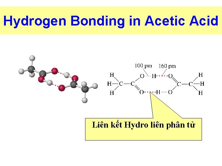 Hydrogen Bonding in Acetic Acid Liên kết Hydro liên phân tử 