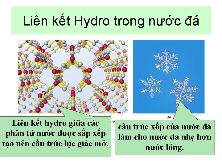 Liên kết Hydro trong nước đá Liên kết hydro giữa các phân tử nước