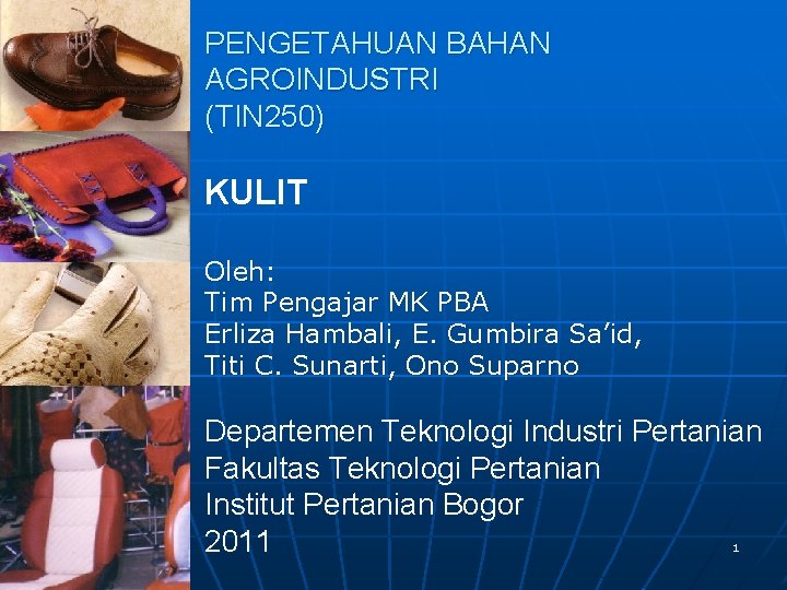 PENGETAHUAN BAHAN AGROINDUSTRI (TIN 250) KULIT Oleh: Tim Pengajar MK PBA Erliza Hambali, E.