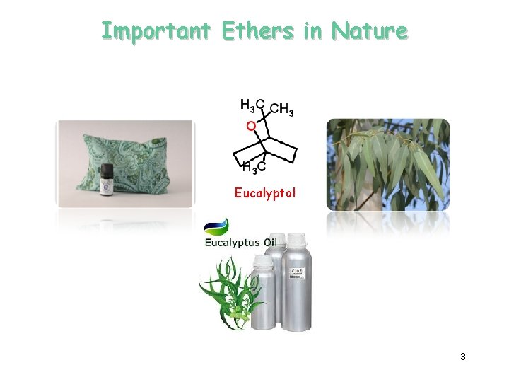 Important Ethers in Nature Eucalyptol 3 