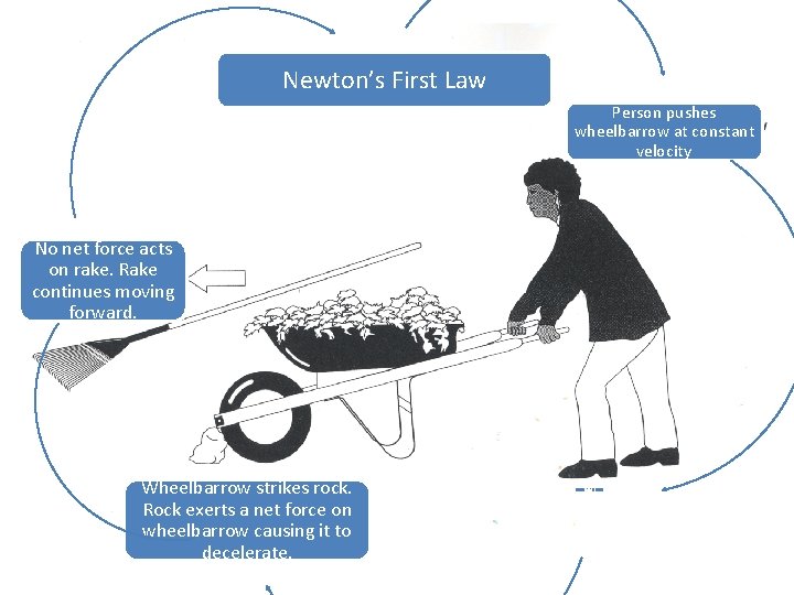 Newton’s First Law Person pushes wheelbarrow at constant velocity. No net force acts on