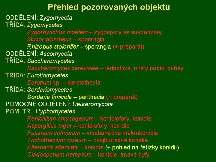 Přehled pozorovaných objektů ODDĚLENÍ: Zygomycota TŘÍDA: Zygomycetes Zygorhynchus moelleri – zygospory se suspenzory Mucor