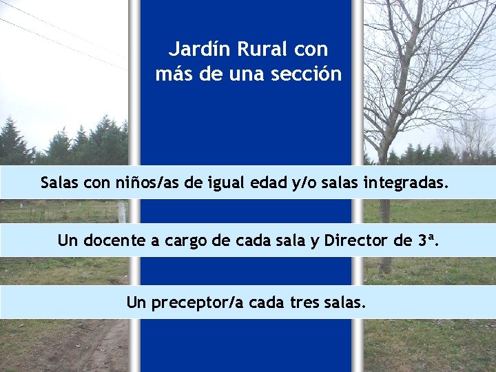 Jardín Rural con más de una sección Salas con niños/as de igual edad y/o