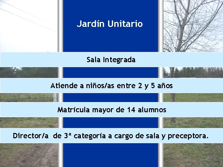 Jardín Unitario Sala Integrada Atiende a niños/as entre 2 y 5 años Matrícula mayor