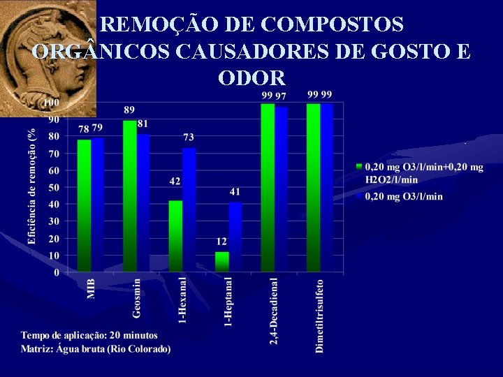 REMOÇÃO DE COMPOSTOS ORG NICOS CAUSADORES DE GOSTO E ODOR 