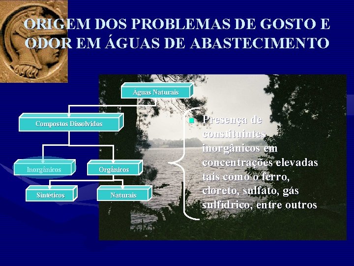 ORIGEM DOS PROBLEMAS DE GOSTO E ODOR EM ÁGUAS DE ABASTECIMENTO Águas Naturais n