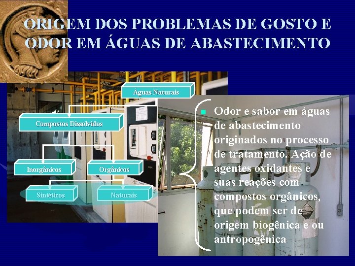 ORIGEM DOS PROBLEMAS DE GOSTO E ODOR EM ÁGUAS DE ABASTECIMENTO Águas Naturais n