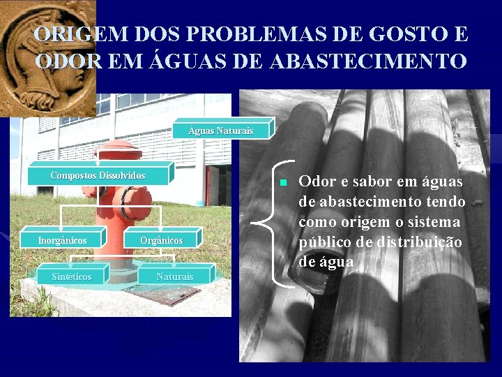 ORIGEM DOS PROBLEMAS DE GOSTO E ODOR EM ÁGUAS DE ABASTECIMENTO Águas Naturais Compostos