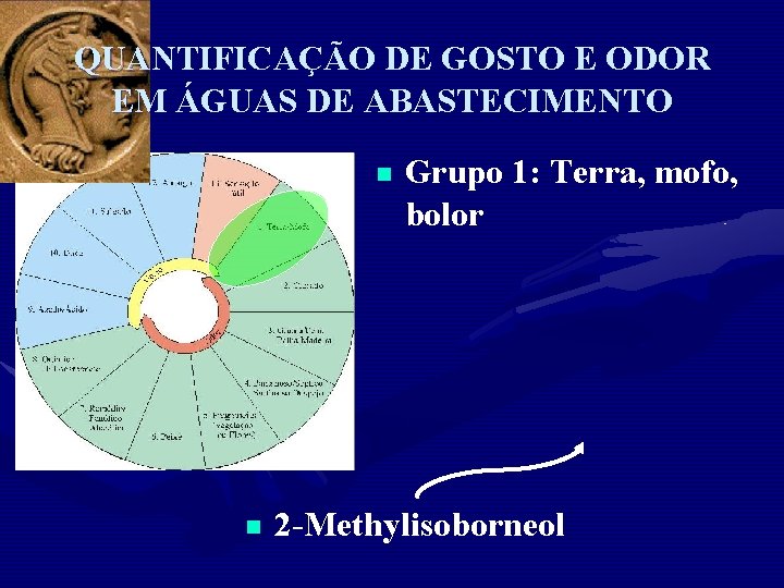 QUANTIFICAÇÃO DE GOSTO E ODOR EM ÁGUAS DE ABASTECIMENTO n n Grupo 1: Terra,