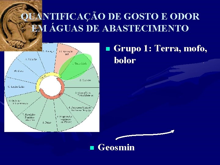 QUANTIFICAÇÃO DE GOSTO E ODOR EM ÁGUAS DE ABASTECIMENTO n n Grupo 1: Terra,