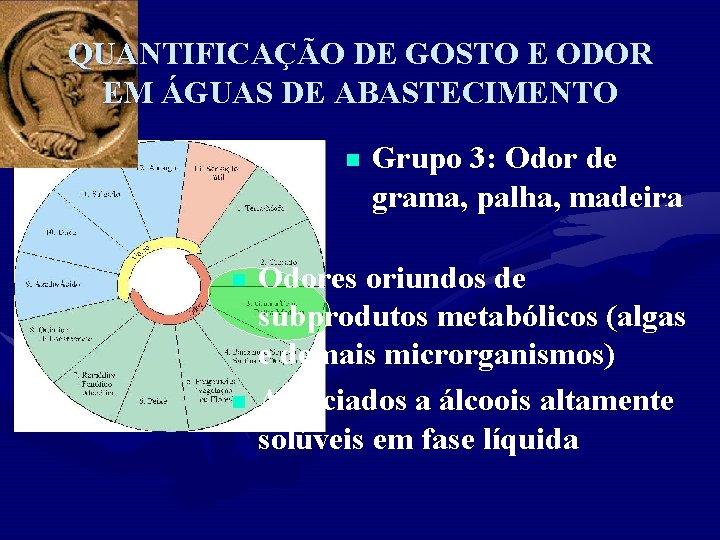 QUANTIFICAÇÃO DE GOSTO E ODOR EM ÁGUAS DE ABASTECIMENTO n n n Grupo 3: