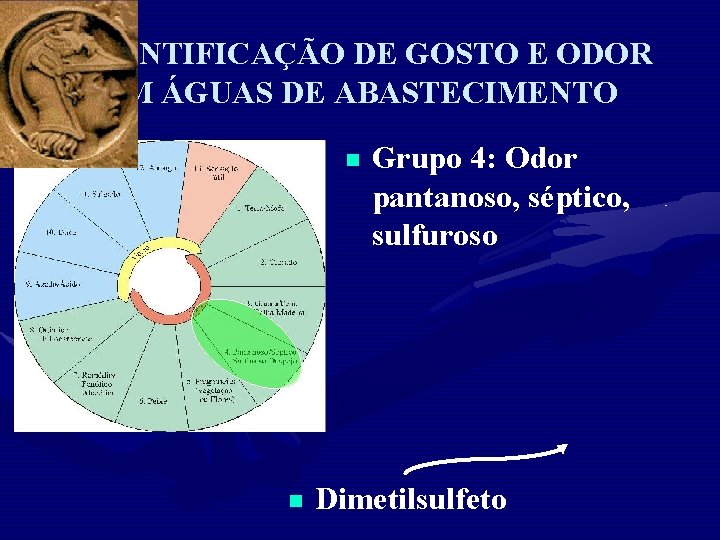 QUANTIFICAÇÃO DE GOSTO E ODOR EM ÁGUAS DE ABASTECIMENTO n n Grupo 4: Odor
