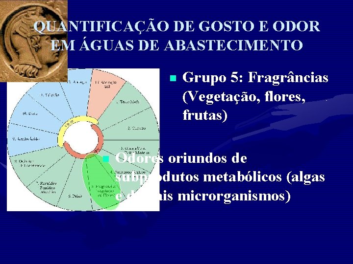 QUANTIFICAÇÃO DE GOSTO E ODOR EM ÁGUAS DE ABASTECIMENTO n n Grupo 5: Fragrâncias