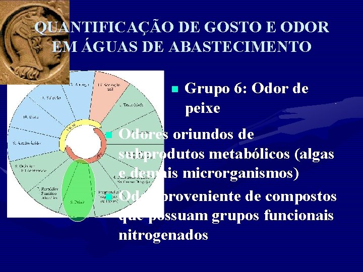 QUANTIFICAÇÃO DE GOSTO E ODOR EM ÁGUAS DE ABASTECIMENTO n n n Grupo 6: