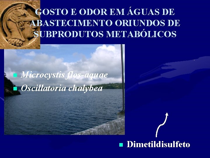 GOSTO E ODOR EM ÁGUAS DE ABASTECIMENTO ORIUNDOS DE SUBPRODUTOS METABÓLICOS n n Microcystis