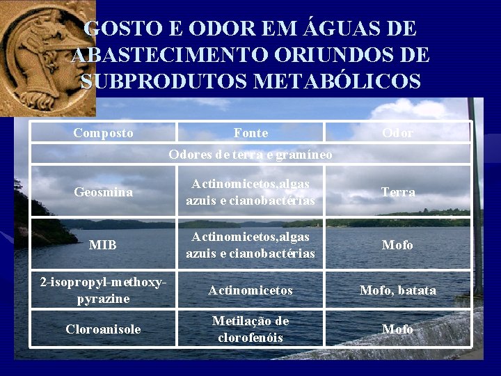 GOSTO E ODOR EM ÁGUAS DE ABASTECIMENTO ORIUNDOS DE SUBPRODUTOS METABÓLICOS Composto Fonte Odores