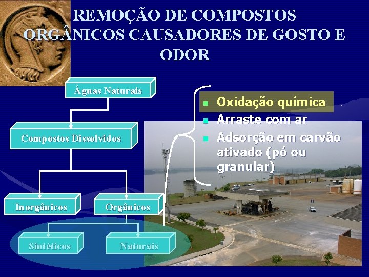 REMOÇÃO DE COMPOSTOS ORG NICOS CAUSADORES DE GOSTO E ODOR Águas Naturais n n